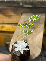 Peridot Lotus Necklace Gift for Mom Meaningful Gift for Her August Birthstone Necklace Birthday Gift Mother Day Jewelry